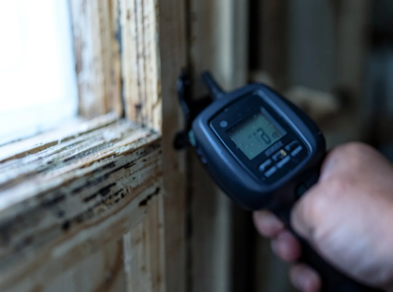 Moisture Inspection And Documentation in Saint Albans, NY